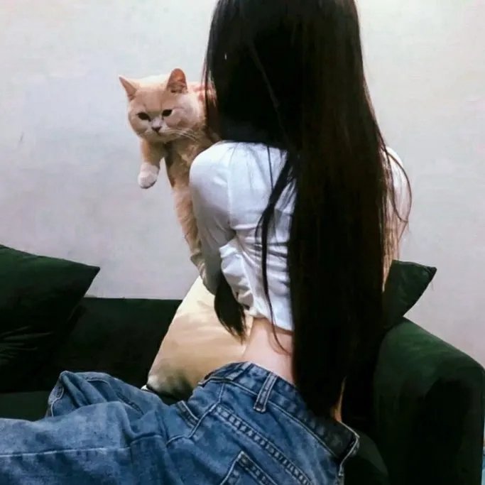 白痴盒子